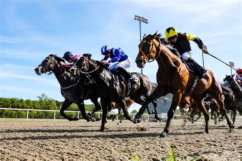 chelmsford horse racing results yesterday|Chelmsford City Horse Racing Results .